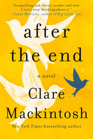 After the end : a novel