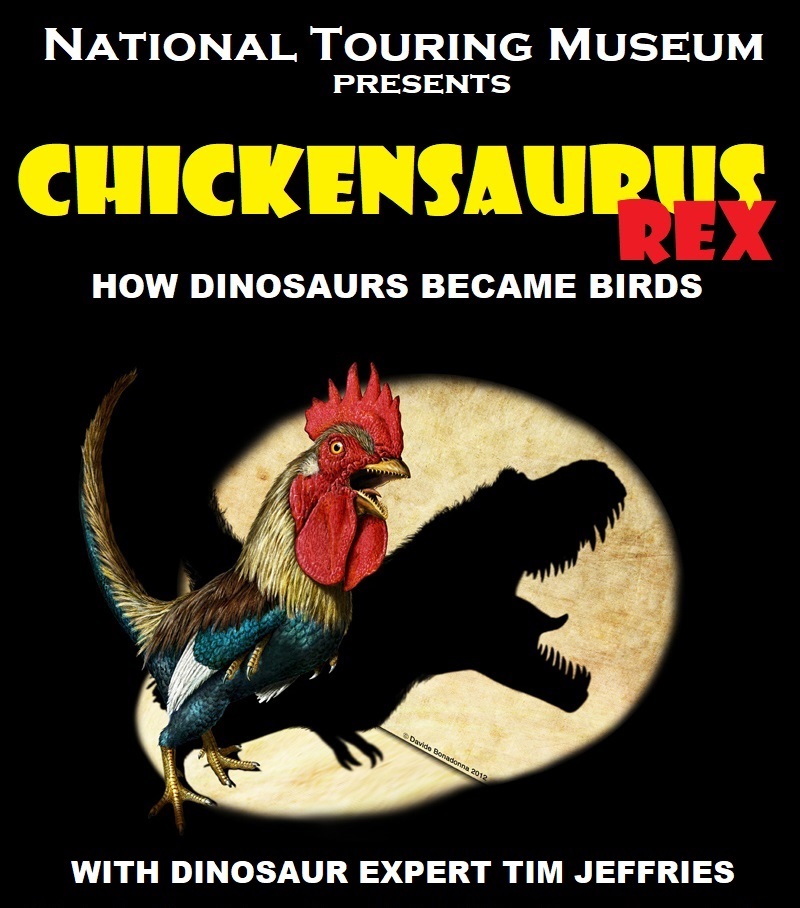 Chickensaurus Rex - how dinosaurs became birds