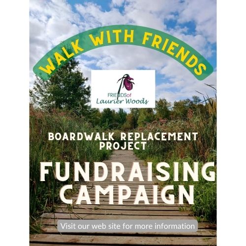 Walk with Friends - Friends of Laurier Woods Boardwalk Replacement Project Fundraising Campaign